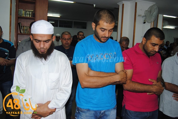 tarawe7 noorei (7).JPG